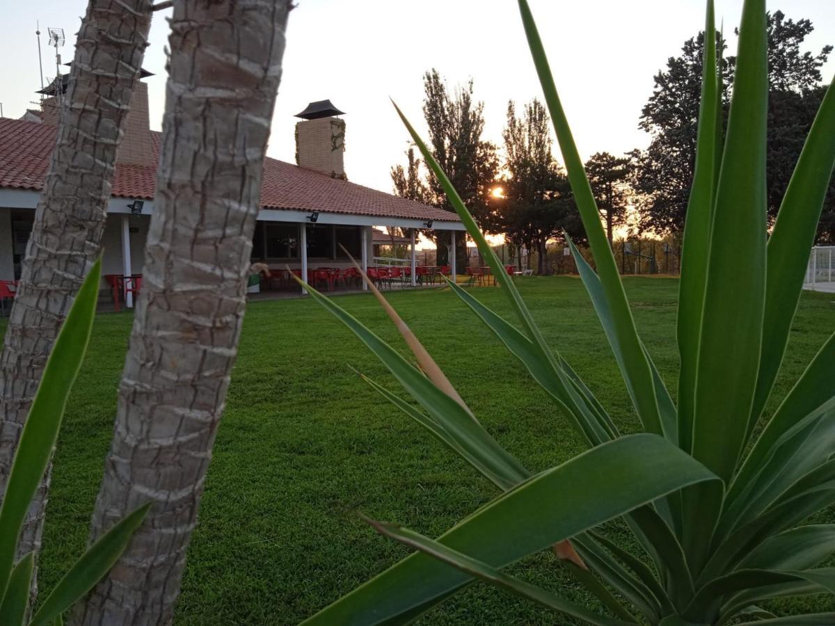 Bungalows Zaragoza Camping Kültér fotó